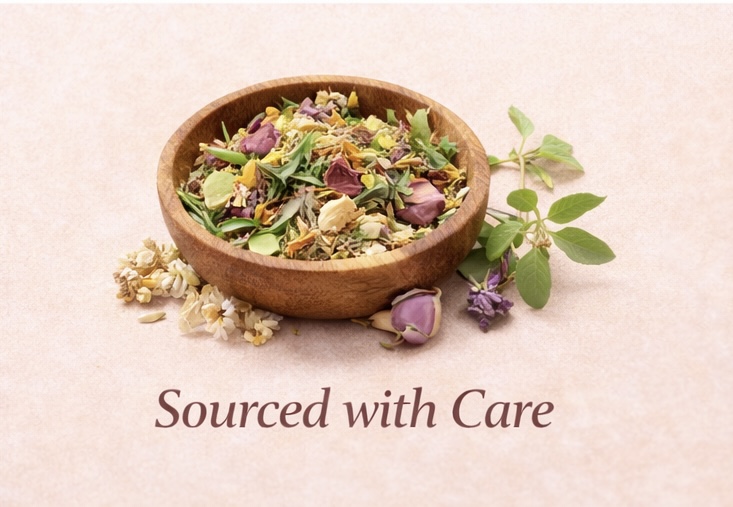 Immunitea Blends - Sourced with Care